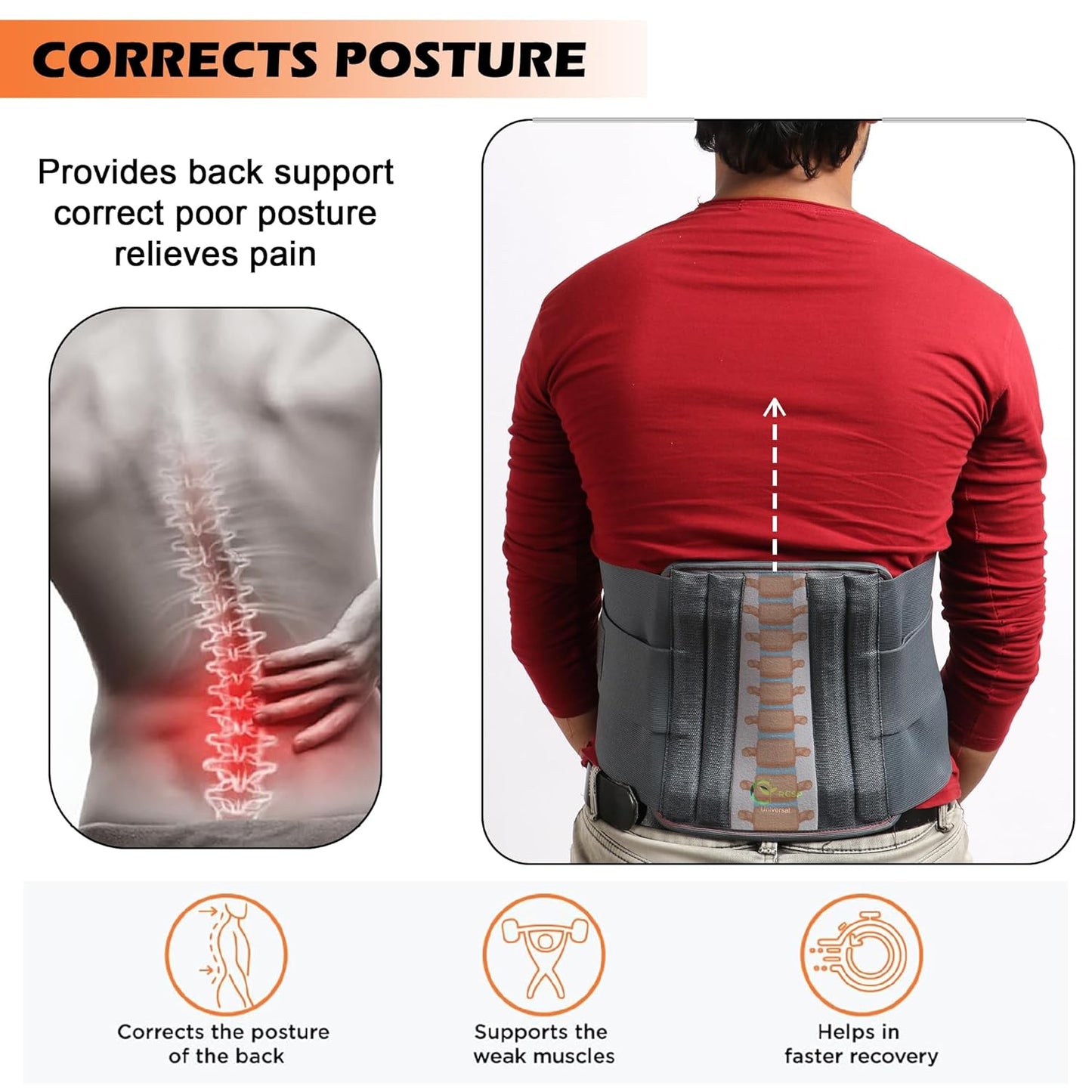 RCSP Contour LS Lower Back Support Belt, Adjustable Lumbar Brace, Grey