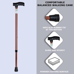 RCSP Walking Stick for Men/Women Height Adjustable 1 Leg Shaped Coper Coat Walking Stick